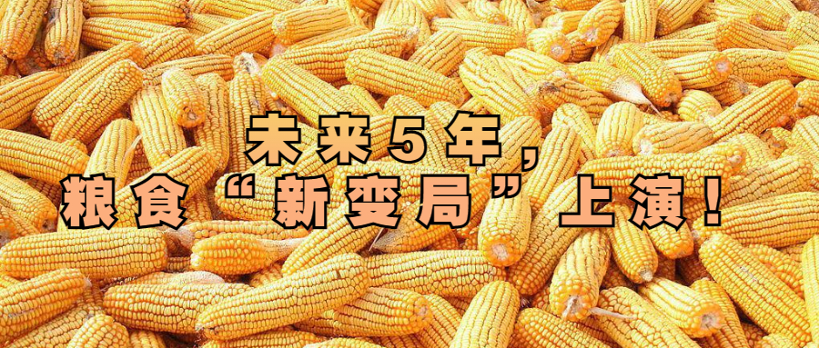 未來(lái)5年，糧食“新變局”上演！