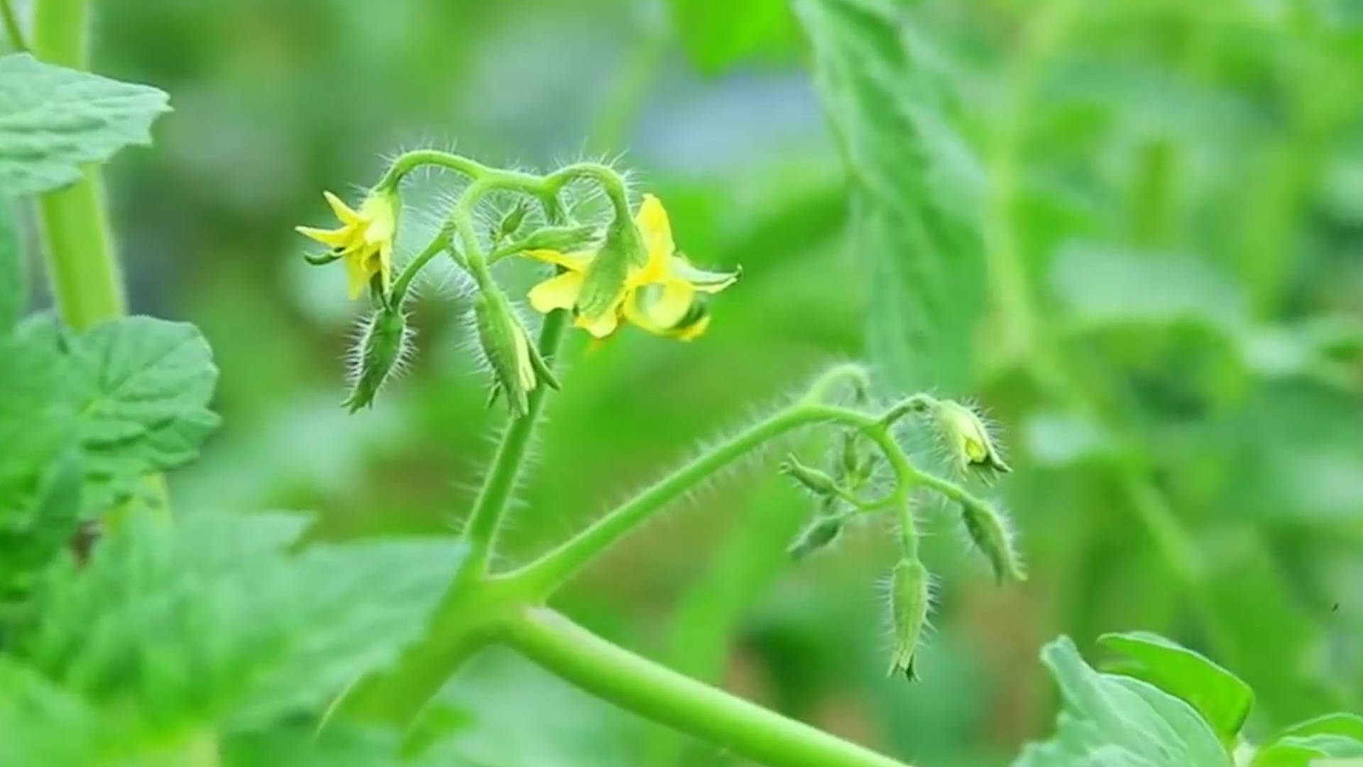 該死的“重茬”怎么辦？來(lái)看看咋解決
