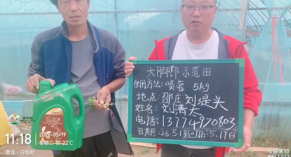 大腳印 ?——6 天爆根，白根旺、須根多，安全養(yǎng)根不早衰，讓豐收更有底氣！