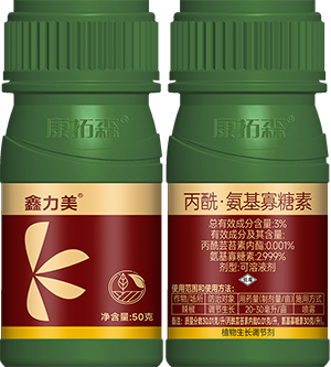鑫力美